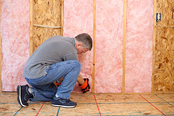 Best Eco-Friendly or Green Insulation Solutions  in Clyde, NY